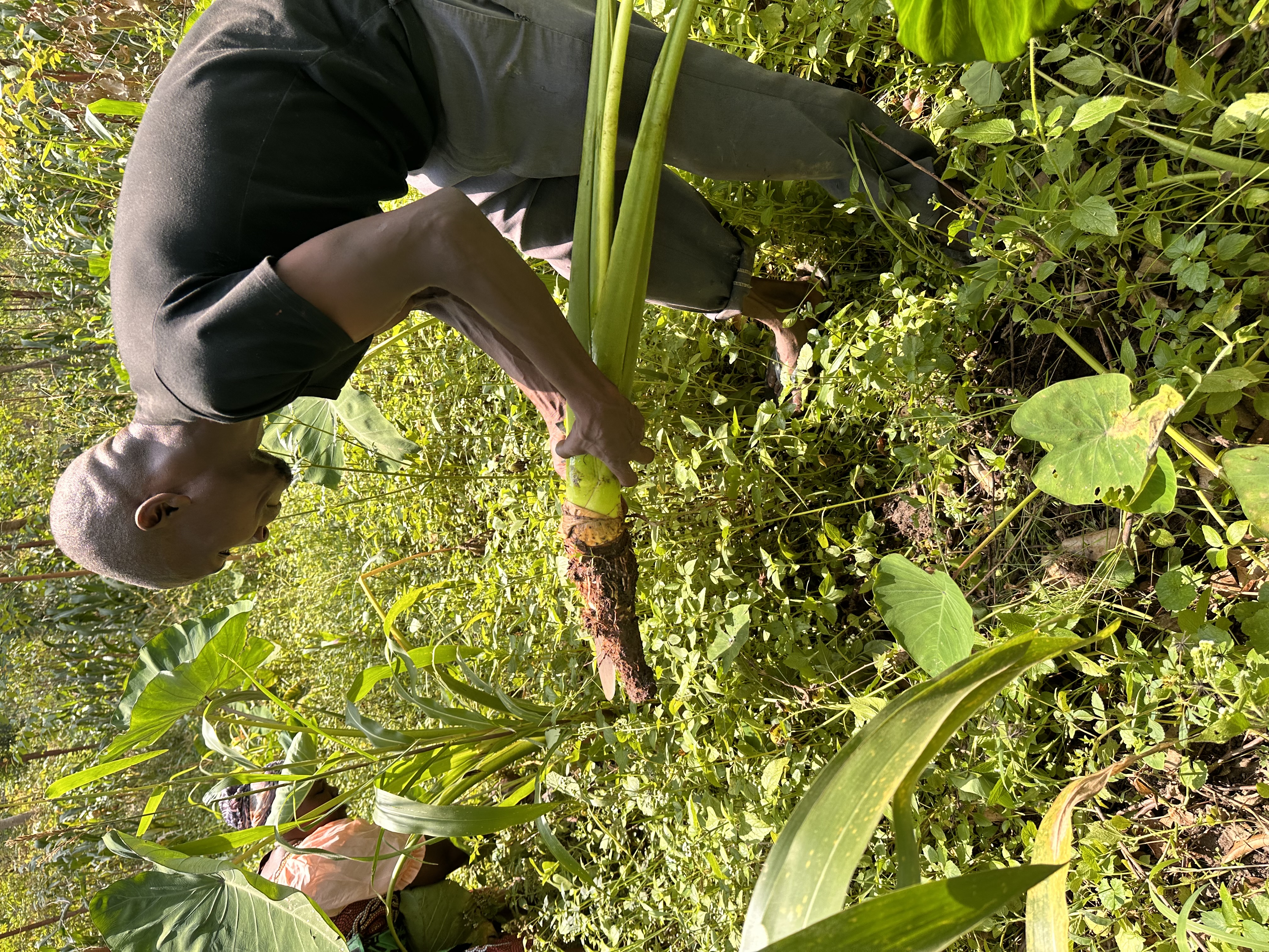 Community Development